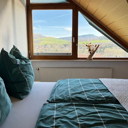 Simmelsbergblick Apartment *